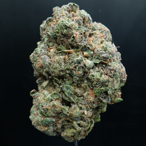 Permanent Cherries flower